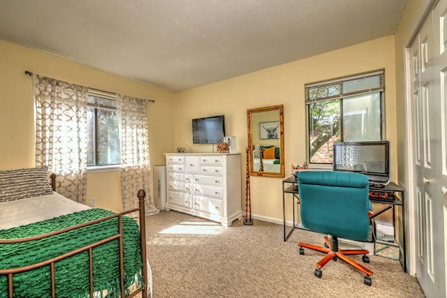 529 Woodward Ave Apt D, New Haven, CT 06512 - bedroom with carpet flooring, multiple windows, and baseboards