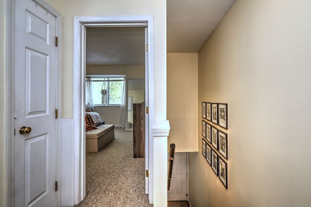 529 Woodward Ave Apt D, New Haven, CT 06512 - corridor featuring carpet floors and an upstairs landing