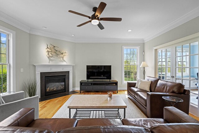 20 Peach Ln, East Lyme, CT 06333 - living area featuring wood finished floors, plenty of natural light, a ceiling fan, a fireplace with flush hearth, and ornamental molding
