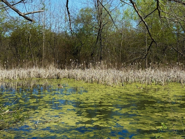 view of water feature