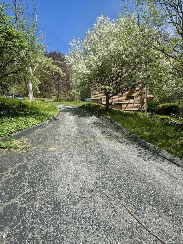 view of road featuring curbs