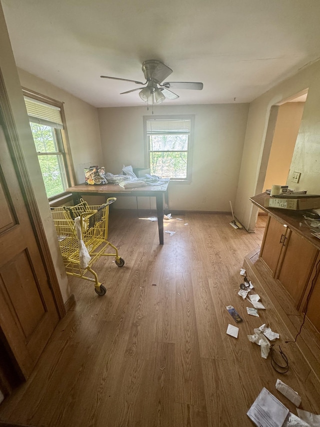 interior space with a ceiling fan, light wood-style floors, and a healthy amount of sunlight