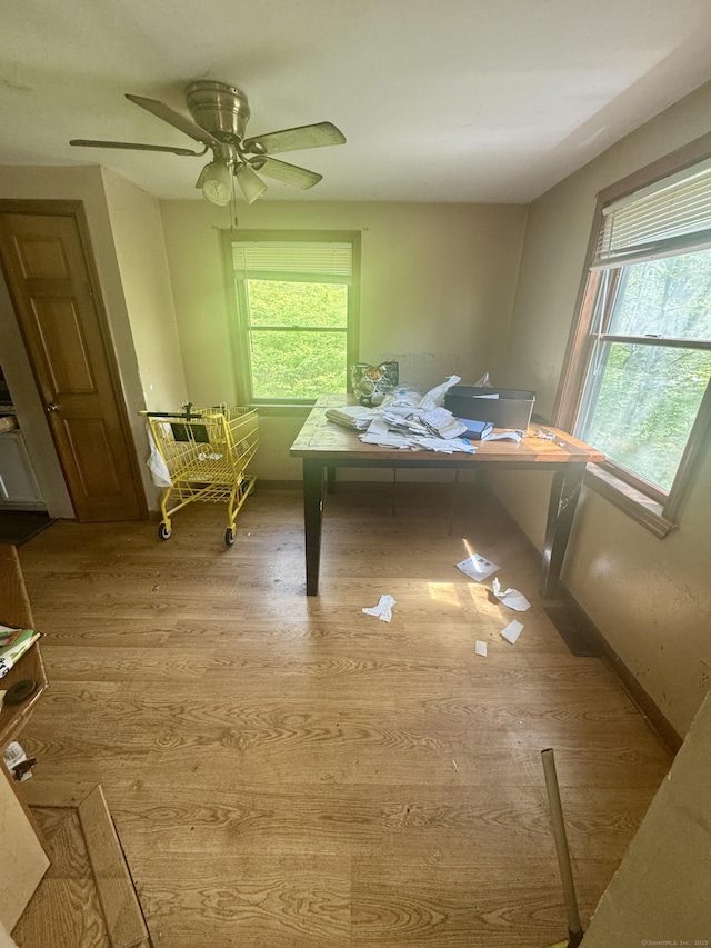 interior space with ceiling fan, plenty of natural light, and wood finished floors