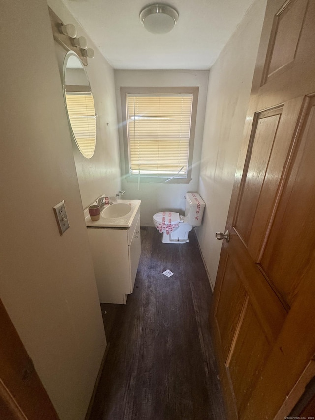 bathroom with vanity and wood finished floors