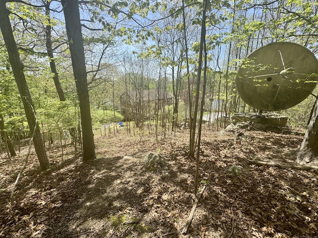 view of local wilderness
