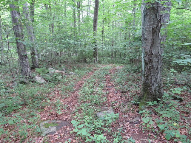 422 Zaicek Rd, Ashford, CT 06278 - photo 14