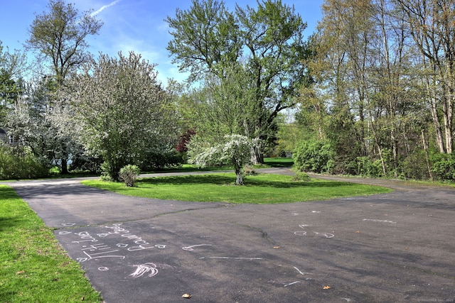 1005 Bassett Rd, Watertown, CT 06795 - photo 3