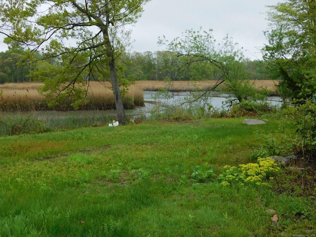 42 Riverside Dr, Branford, CT 06405 - view of yard with a water view