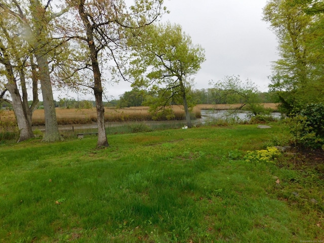 42 Riverside Dr, Branford, CT 06405 - view of yard