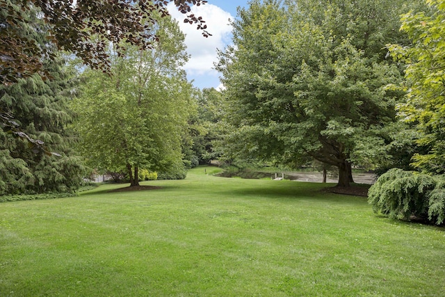 173 Highwoods Dr, Guilford, CT 06437 - view of green lawn