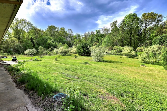 23 Pinesbridge Rd, Oxford, CT 06478 - view of green lawn