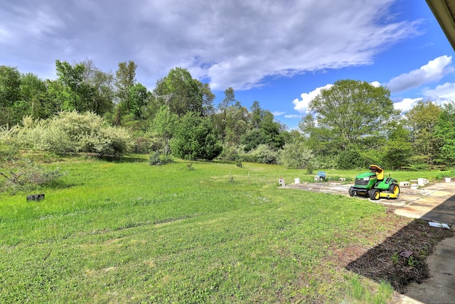 23 Pinesbridge Rd, Oxford, CT 06478 - view of green lawn