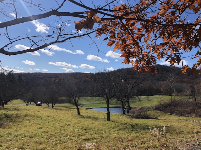 mountain view with a nearby body of water