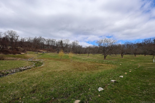 view of green lawn featuring a view of rural / pastoral area