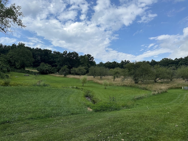 view of undeveloped land featuring rural landscape