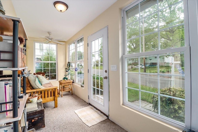 37A/K/A27 Oregon Ave, East Haven, CT 06512 - sunroom featuring carpet flooring