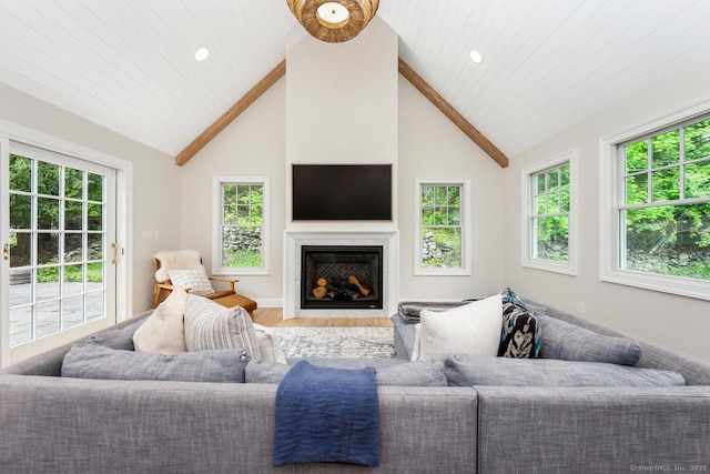 living room with a fireplace, wood finished floors, and wooden ceiling