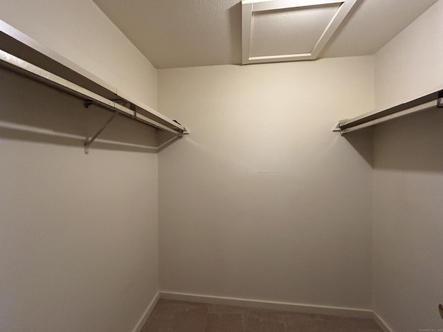 walk in closet with carpet floors
