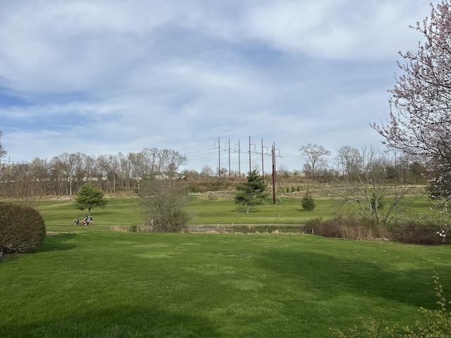 view of home's community with a lawn