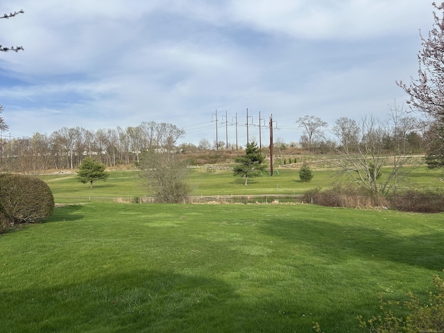 8 Pilgrim Hbr Unit A, Wallingford, CT 06492 - surrounding community with a yard