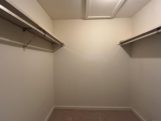 8 Pilgrim Hbr Unit A, Wallingford, CT 06492 - walk in closet featuring carpet flooring