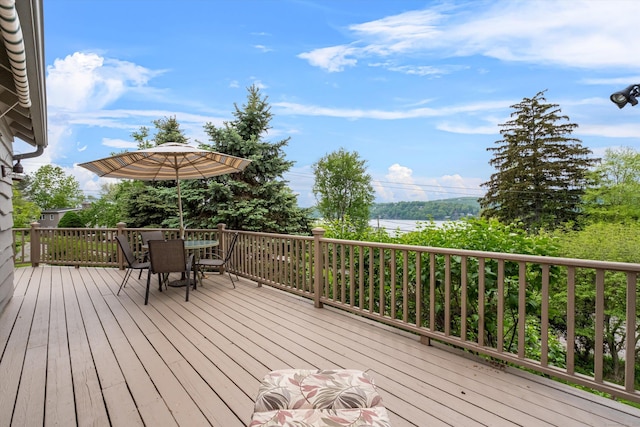 26 Birch Ln, New Milford, CT 06776 - photo 22