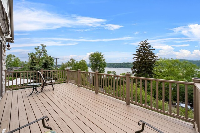 26 Birch Ln, New Milford, CT 06776 - photo 28