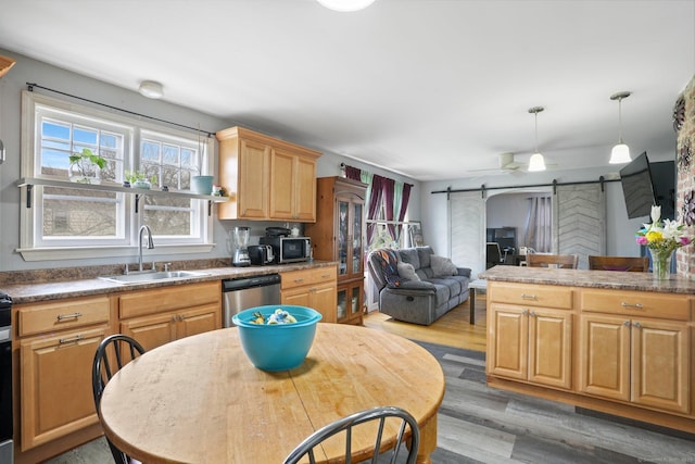 kitchen with a sink, decorative light fixtures, a barn door, light wood-type flooring, and appliances with stainless steel finishes