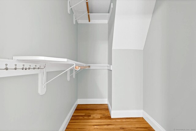 walk in closet featuring wood finished floors