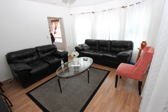 living area with wood finished floors