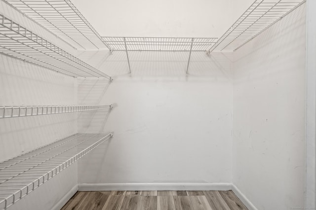 walk in closet with wood finished floors
