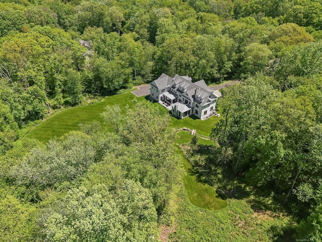 168 Proprietors Xing, New Canaan, CT 06840 - aerial view of property's location with a heavily wooded area