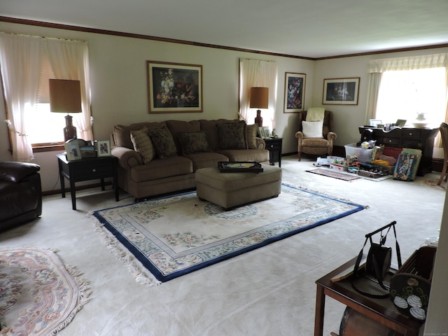 carpeted living area featuring ornamental molding