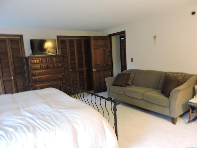 carpeted bedroom featuring a closet