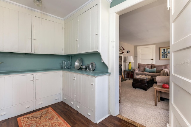 kitchen featuring dark wood-type flooring, light countertops, and open floor plan