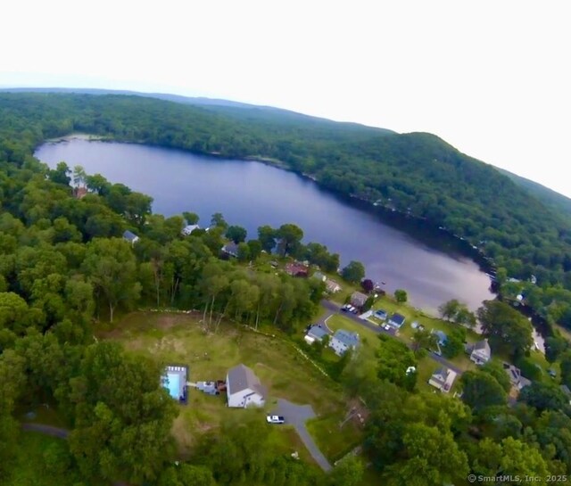 bird's eye view of a forest and a large body of water