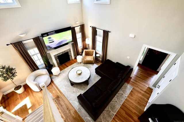 living room featuring a high ceiling, wood finished floors, and a fireplace