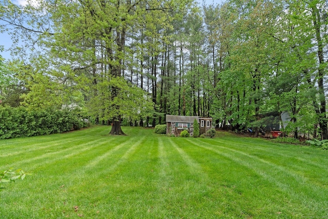view of grassy yard featuring an outbuilding