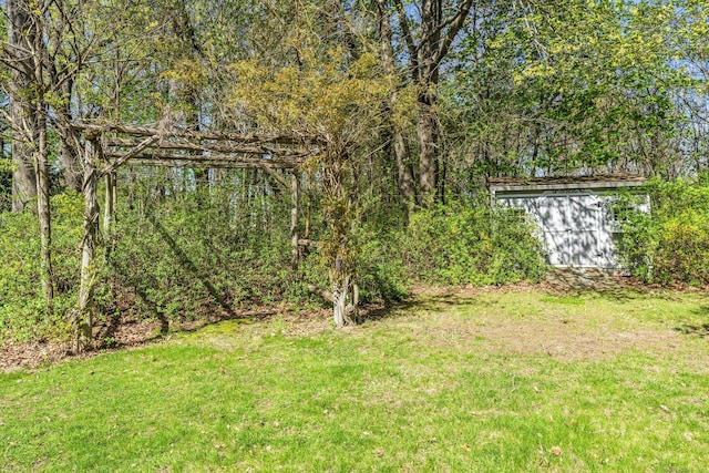 view of grassy yard with an outbuilding