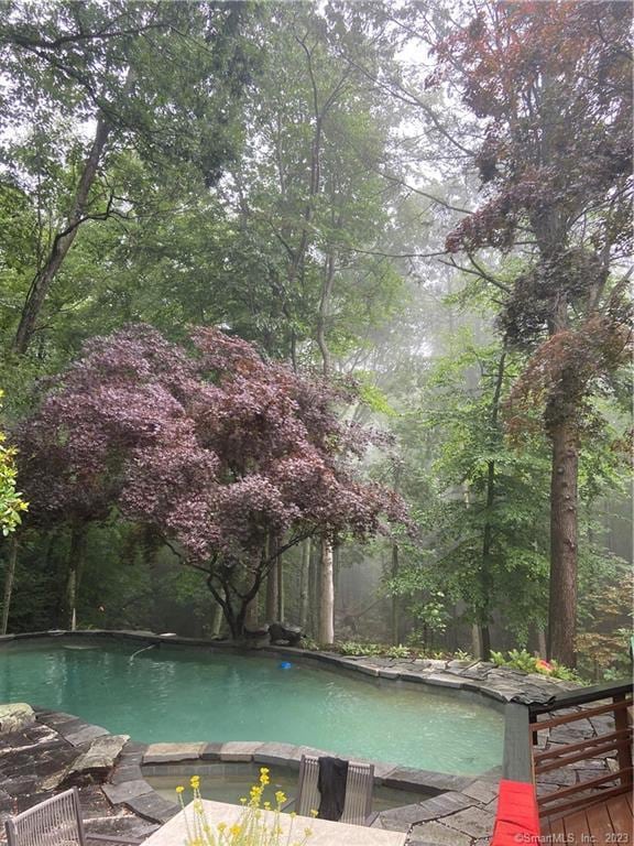 95 Shinar Mountain Rd, Washington, CT 06794 - view of pool featuring a pool with connected hot tub