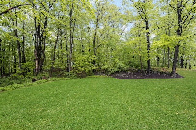 4 Aunt Park Ln, Newtown, CT 06470 - view of green lawn
