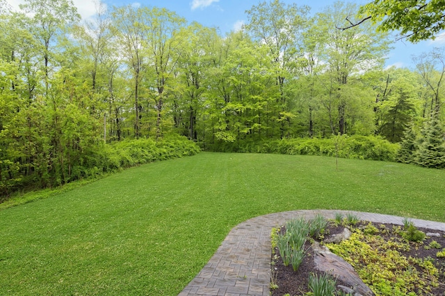 4 Aunt Park Ln, Newtown, CT 06470 - view of grassy yard