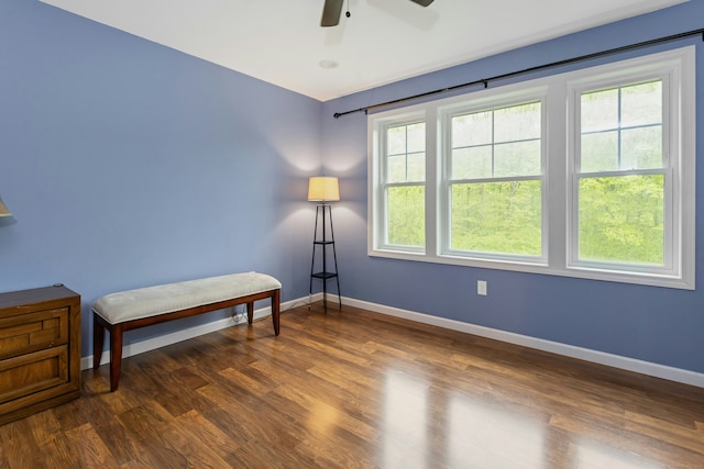 4 Aunt Park Ln, Newtown, CT 06470 - living area featuring baseboards, a ceiling fan, and wood finished floors