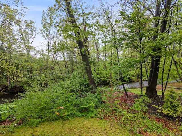 view of local wilderness with a wooded view