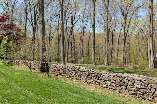 view of grassy yard