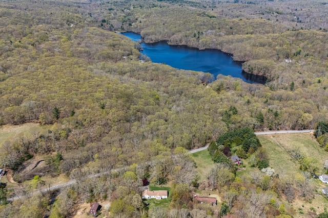 bird's eye view of a forest and a nearby body of water