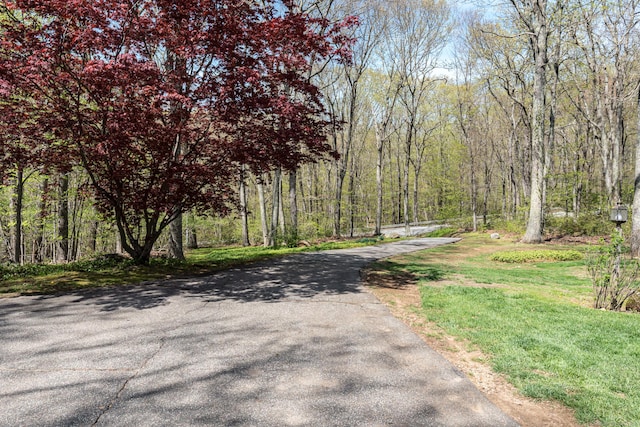 view of street with a wooded view