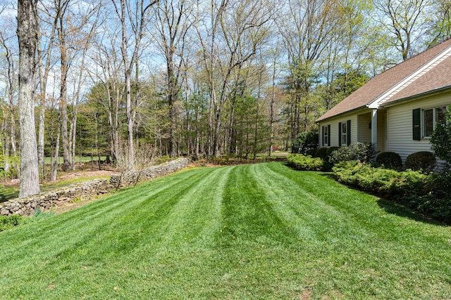 view of grassy yard
