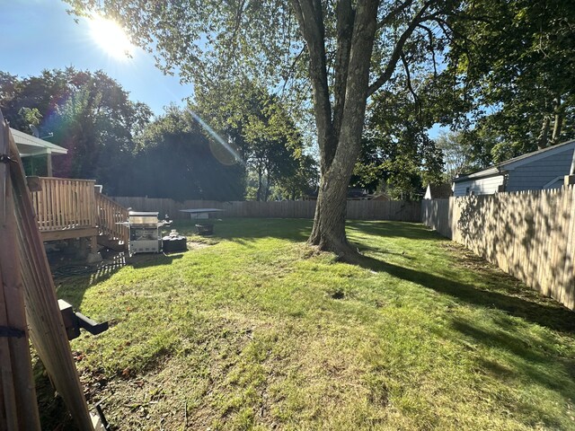view of yard featuring a wooden deck