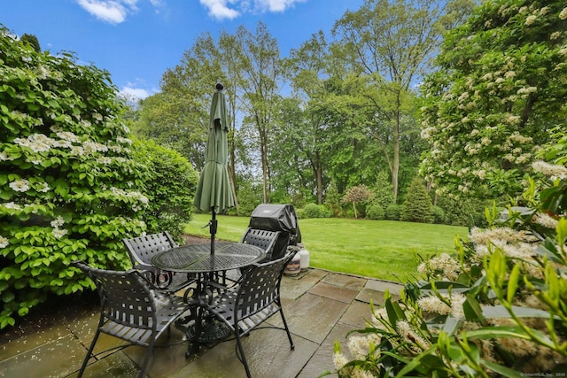 123 Richmond Hill Rd Unit 20, New Canaan, CT 06840 - view of patio / terrace featuring outdoor dining space and a grill